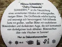 Dicker Beipackzettel.webp