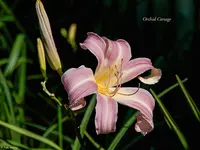 IMG_6064.webp
