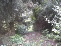 BILD5584.webp