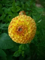 DSCI4470.webp