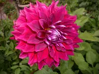 DSCI4467.webp