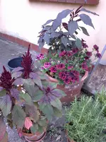 2016-08-18-467.webp