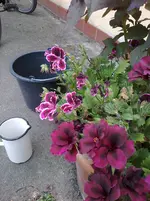 2016-08-18-468.webp
