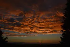 DSC_8297.webp