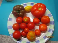 IMG_1722.jpg