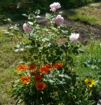 Garten2016.jpg