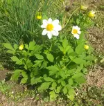 20160815_153551 - Kopie.webp