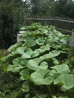 BILD5645.webp