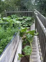 BILD5646.webp