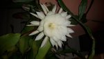 20160820_223658.jpg