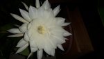 20160820_223716.jpg
