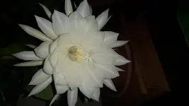20160820_223716.webp