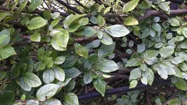 DSC_1228 (1).webp