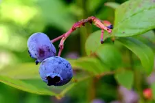 2016-08-21-9462 - Kopie.webp