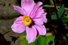 2016-08-21-9453 - Kopie.webp