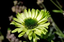 2016-08-21-9455 - Kopie.jpg