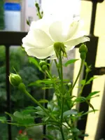 IMG_6378.webp
