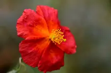 2016-06-14-8944 - Kopie.webp