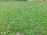 20160822_111505.jpg