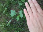 20160822_111513.jpg