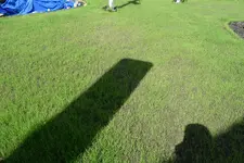 rasen6.webp