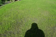 rasen7.webp