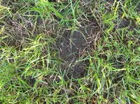 IMG_3293.webp IMG_3293.webp