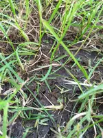 IMG_3291.webp IMG_3291.webp