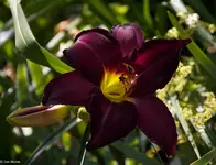 IMG_1666.webp