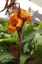 _DSC0936.webp
