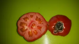 20160823_120233.jpg