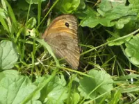 BILD5527.webp