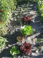 20160822_175918.webp