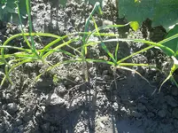 20160822_175821.jpg