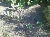 20160822_175800.webp