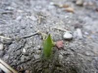 P1230177.webp