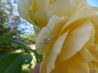 P1230185.webp