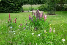 IMG-20160611-WA0027-1.webp