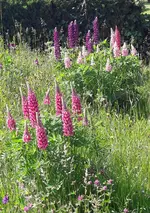 20160606_163734-1.webp