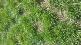 20160823_130002.webp