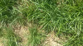 20160823_125939.webp