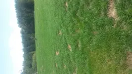 20160823_125923.webp