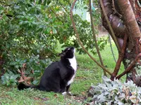 IMG_3878 v.webp