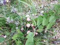 PHOTO_20160814_195517.webp