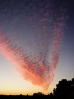 SoUAug16 (8).webp