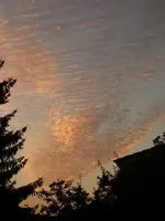 SoUAug16 (4).webp