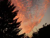 SoUAug16 (6).webp