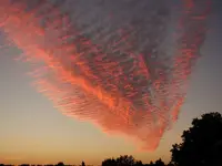 SoUAug16 (7).webp