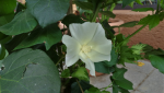DSC07695.png