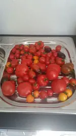 IMG-20160824-WA0000.jpg